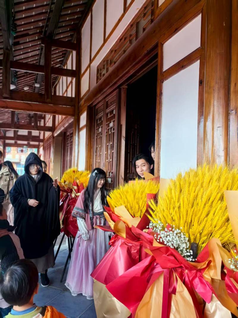 龙岗区文旅项目策划